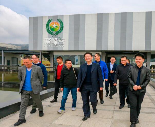 集团党委书记、董事长任丁率队调研聚峰谷