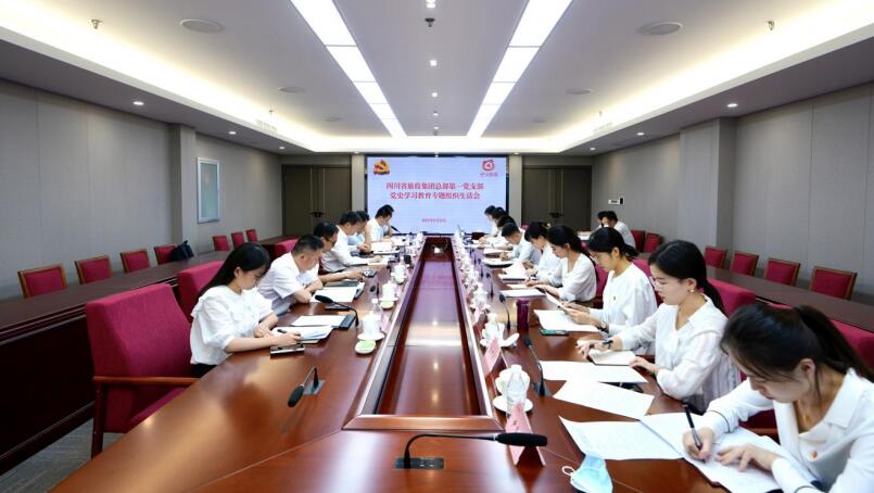 尊龙凯时集团党委书记、董事长任丁参加总部第一党支部党史学习教育专题组织生活会