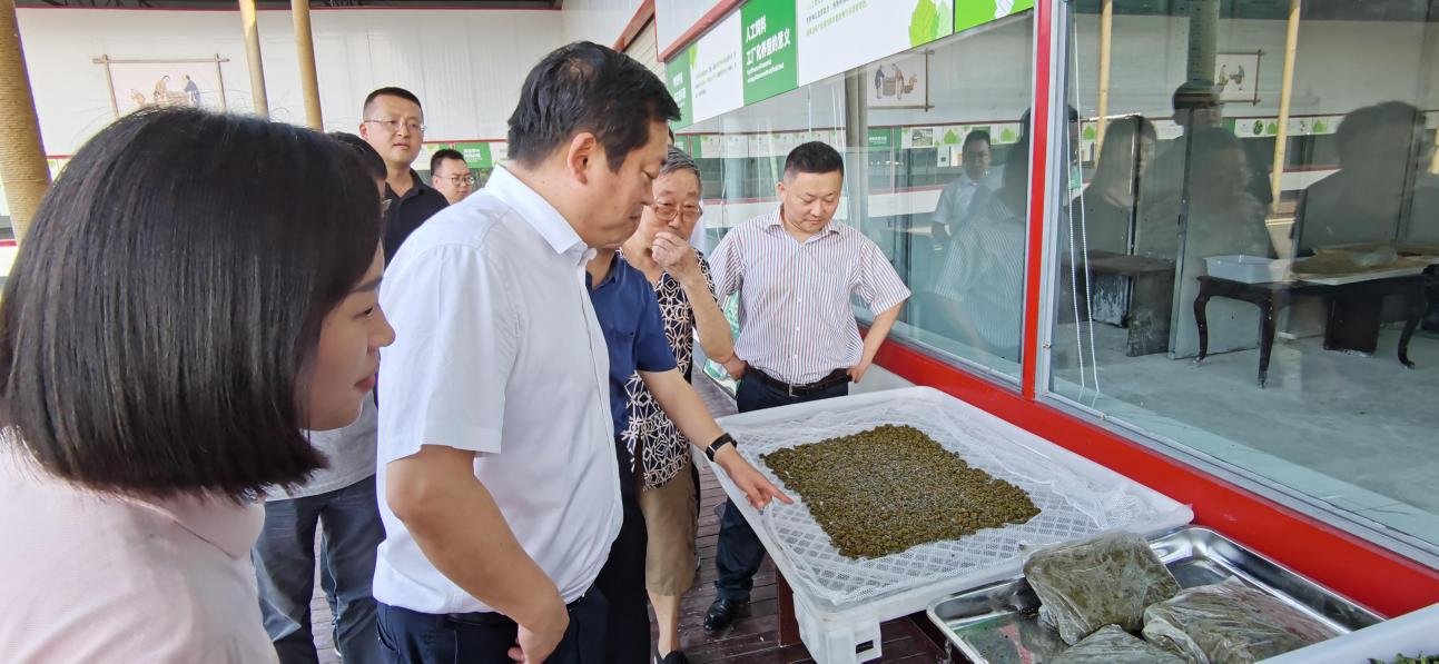 省尊龙凯时集团党委副书记、董事陈日赴嘉陵区调研茶桑产业发展情况